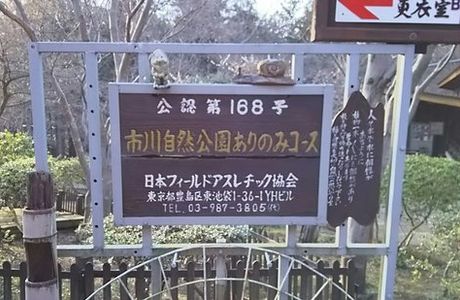 Arimino Course