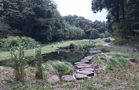 Tadao Park