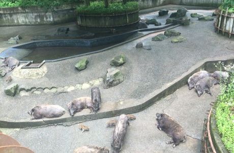 Ishikawa Forest Park