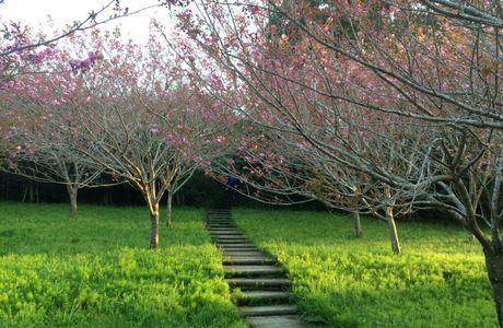 Tenjinyama Ryokuchi Park