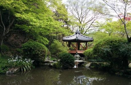 Momijidani Park
