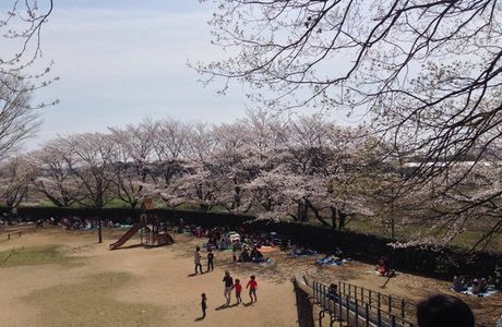 Uchimaki Park
