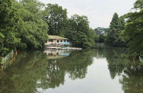 Musashiseki Park