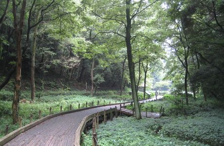 Higashitakane Forestry Park