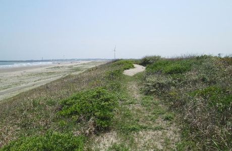 Hasaki Sand Dunes Plant Park