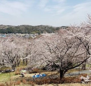 Sakuranoyama Park
