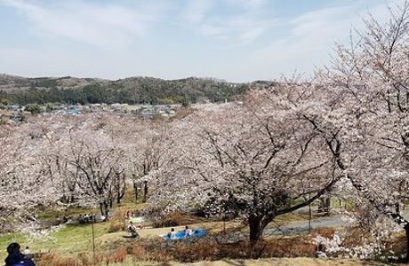 Sakuranoyama Park