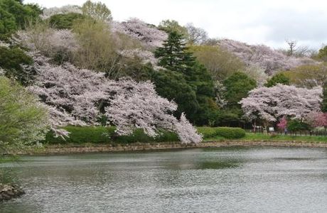Mitsuike Park