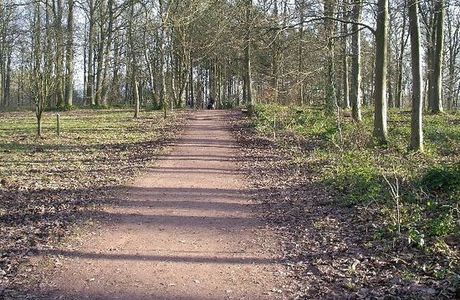 Queenswood Country Park and Arboretum