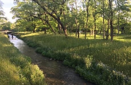 Hakanoki Nature Park