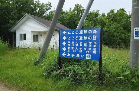 Forest of Tokoro Remains