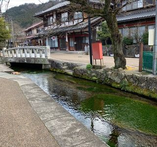 Samegaijyuku