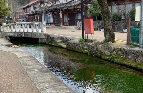 Samegaijyuku