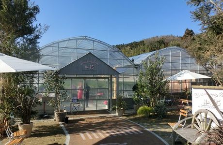 the Farm UNIVERSAL osaka