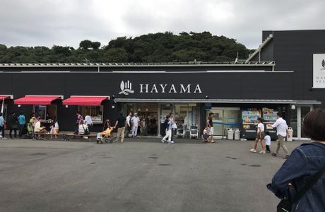 Hayama Station