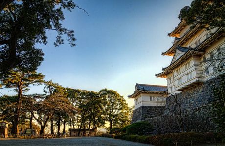 Odawara Dynacity