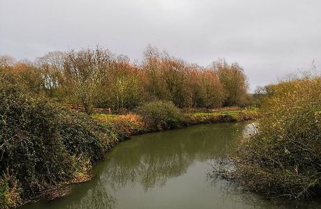 The Stanwick Lakes to Rushden Lakes walk