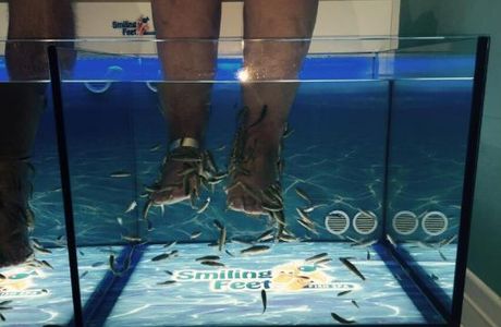 Fishness Fish Spa & Wellness