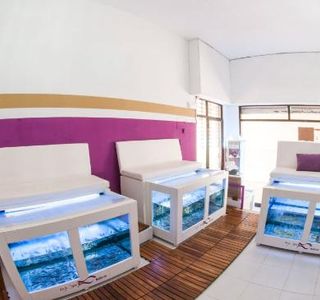 Fish Space Mallorca, Fish Spa