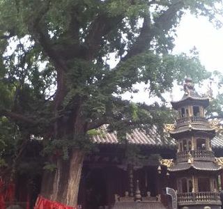 Qingtan Temple