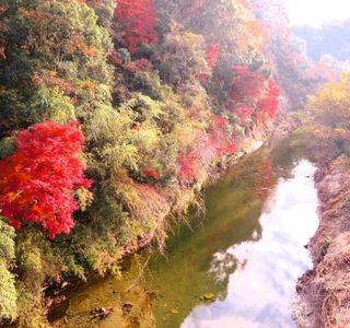 Umegase Valley