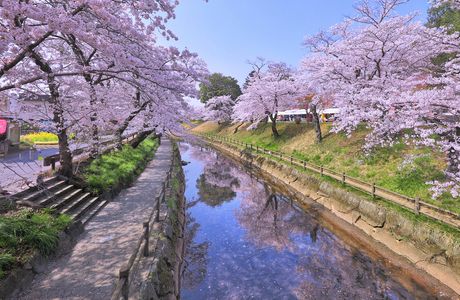 Sakura Natural Hot Spring Sumire