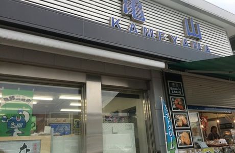 Kameyama Parking Area Downline