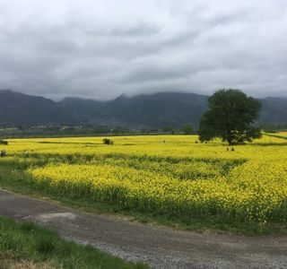 Michi-no-Eki Hananoeki Chikumagawa
