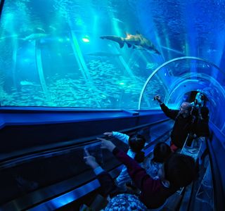 Yokohama Hakkeijima Sea Paradise