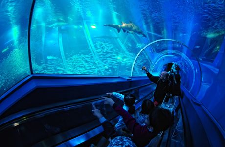Yokohama Hakkeijima Sea Paradise