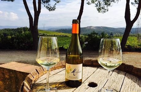 Fattoria il Palagio