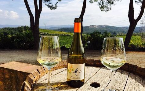 Fattoria il Palagio 1