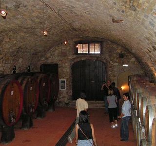 Fattoria di Montecchio