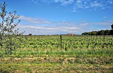 Azienda Agricola Villanoviana