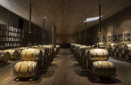 Cantina Antinori