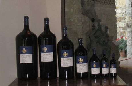 Fontodi Winery