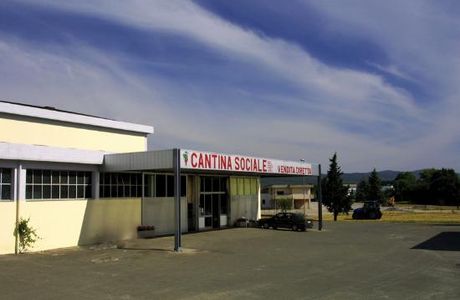 Cantina Sociale