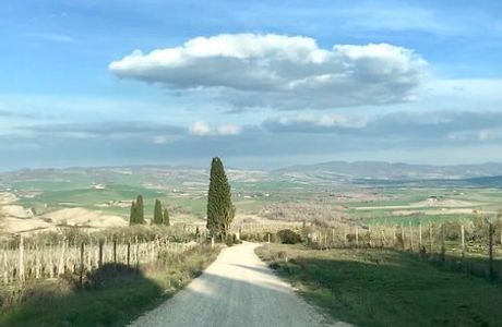Azienda Agricola Sante Marie di Vignoni
