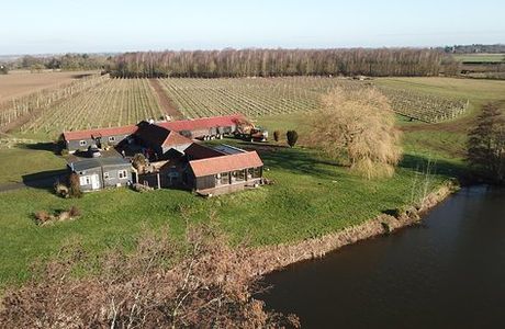 Dedham Vale Vineyard - Winery And Estate