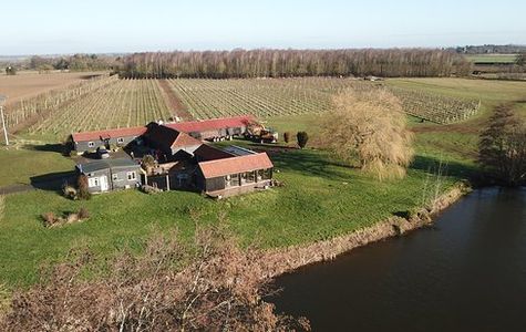 Dedham Vale Vineyard - Winery And Estate 1