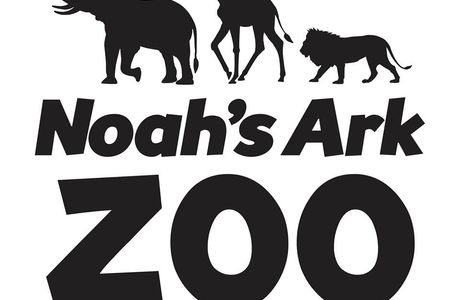 Noah's Ark Zoo Farm