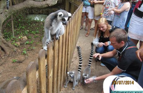 Zoo Natura Parc