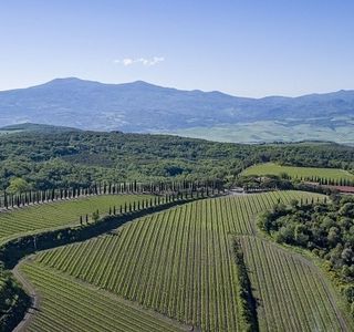 Poggio Antico Vineyards