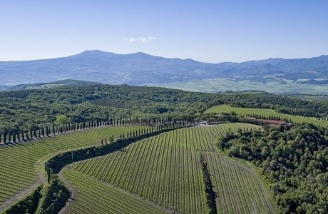 Poggio Antico Vineyards