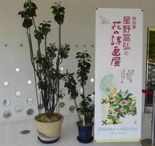 Michi-no-Eki Tomi Hiromi Art Museum