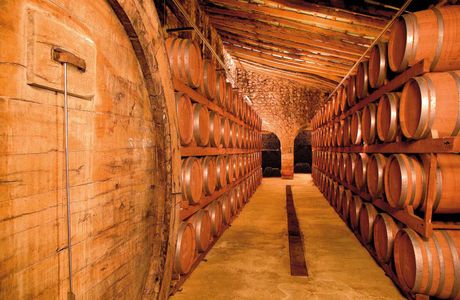 Bodega Ribas