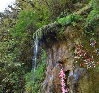 Waterfall Men's Tears
