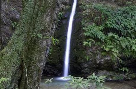 Shukuya Falls