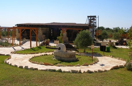 Oleastro Olive Park and Museum