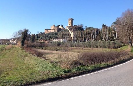 Turini Rental Driver
